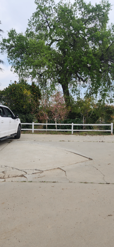 Dinuba House: 9905 ave 404