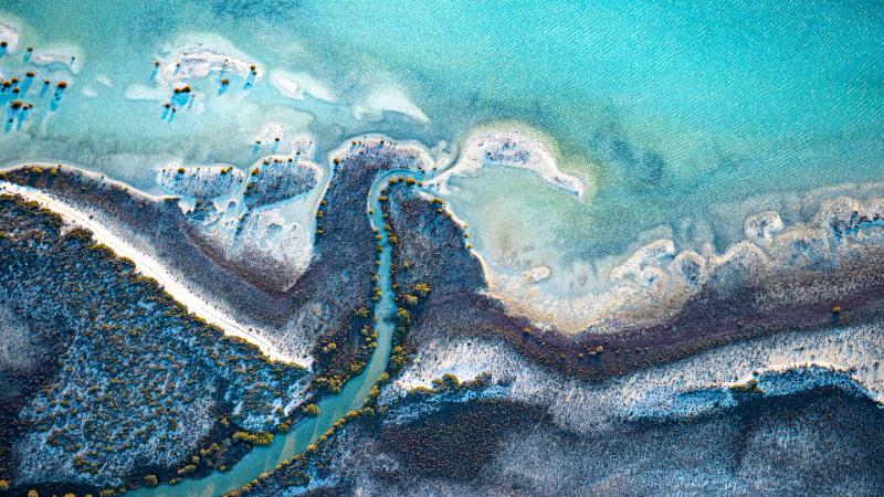 North Charlestom House: 6908 Rivers Ave