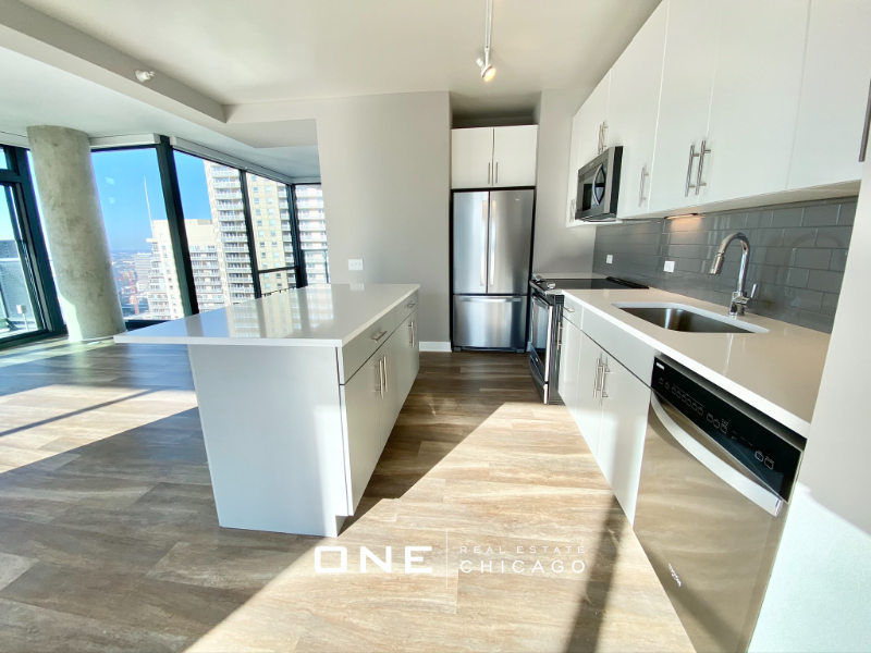 Chicago Apartment: 501 N State