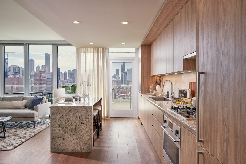 Chicago Condo: 262 W Hill St
