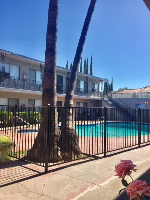 Pasadena Apartment: 260 N Oak Ave