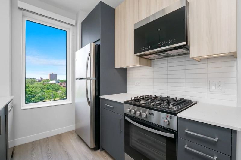 Chicago Condo: 1129 W Erie St