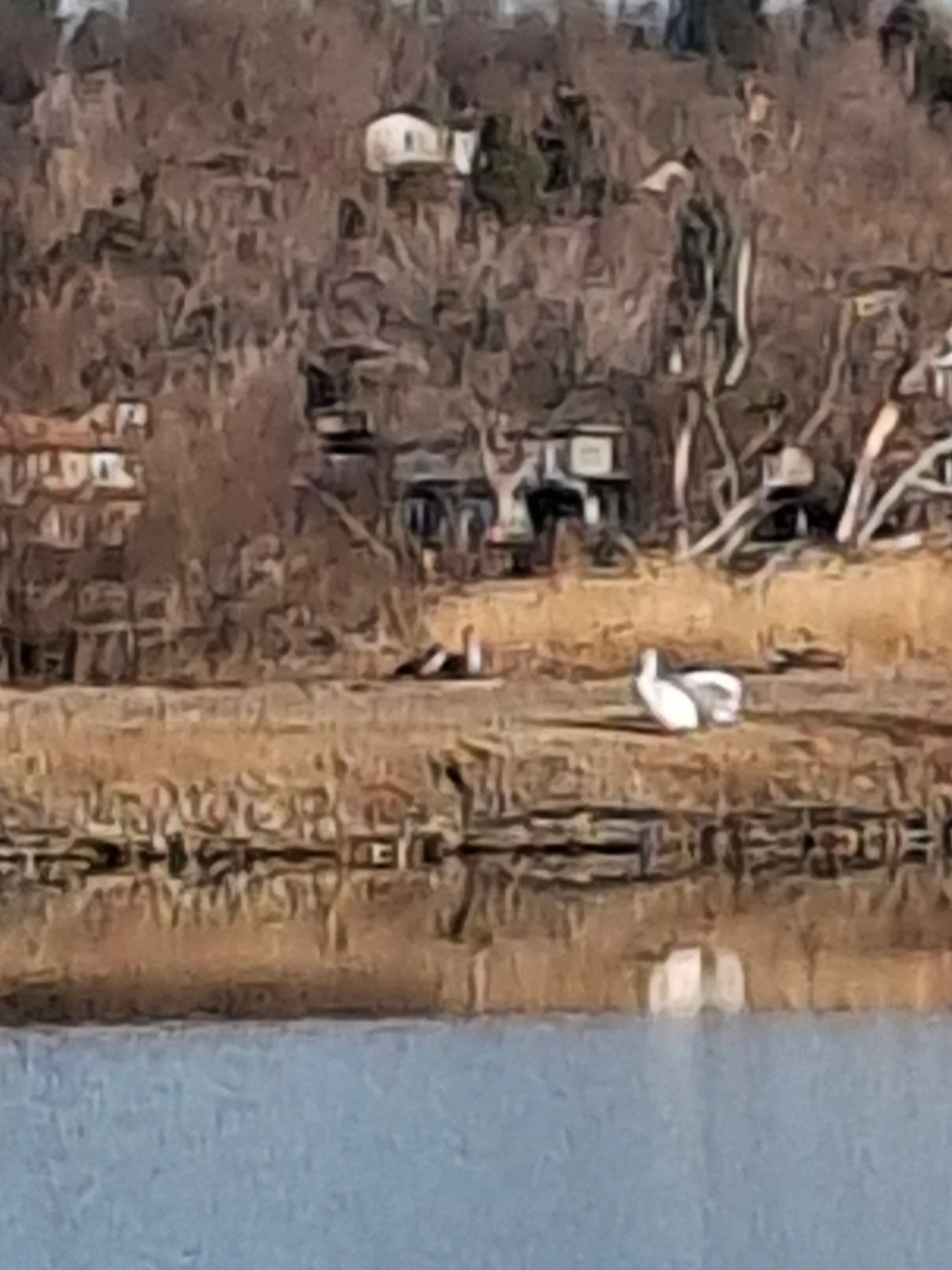 Denver Multiplex: 1641 Winona Court