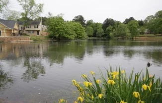 Marietta Apartment: 347 Pat Mell Rd SW