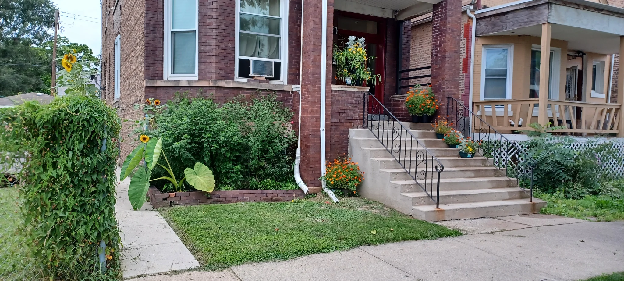 Chicago Multiplex: 6458 S Paulina St #2