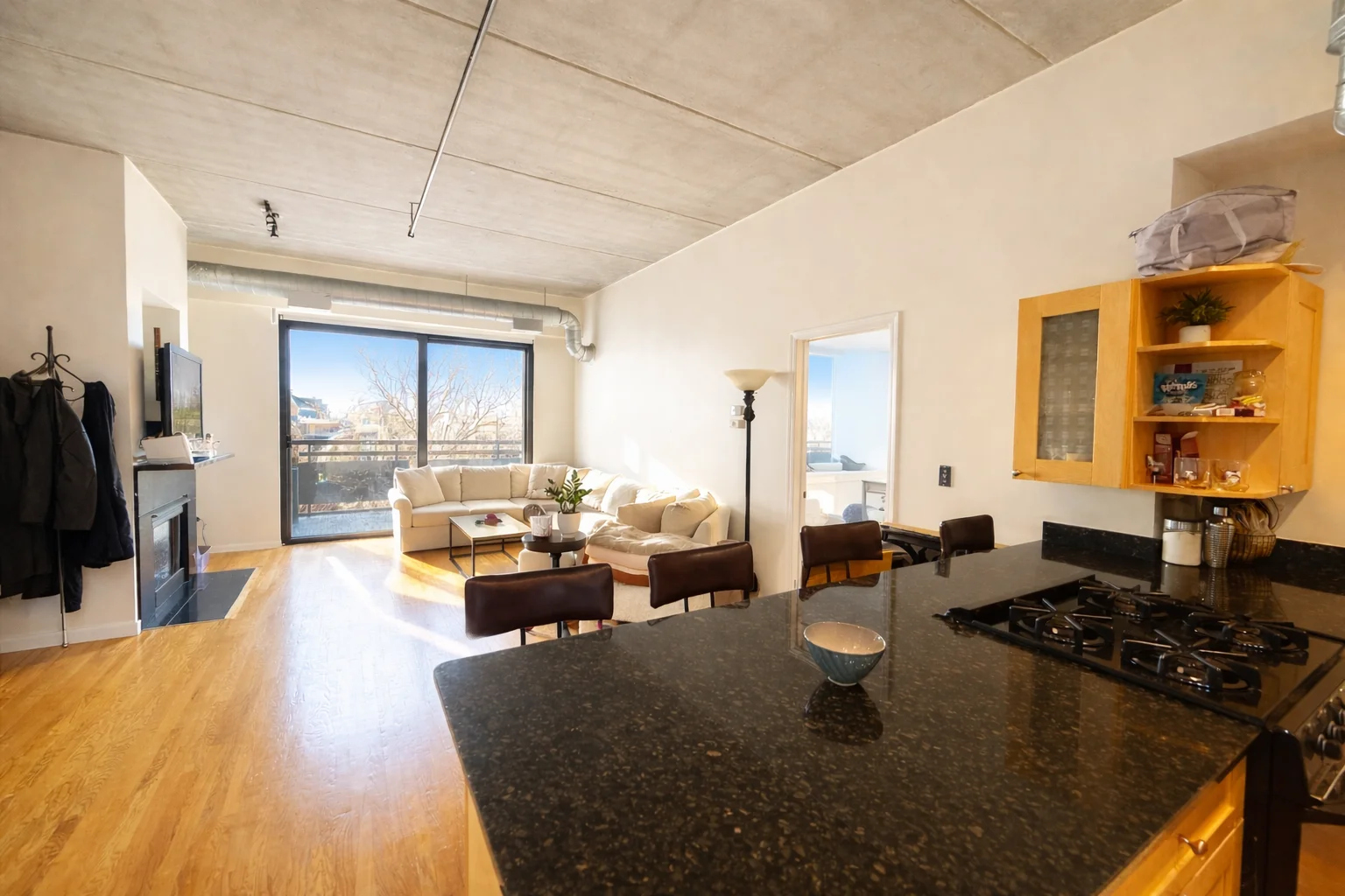 Chicago Condo: 1735 W Diversey