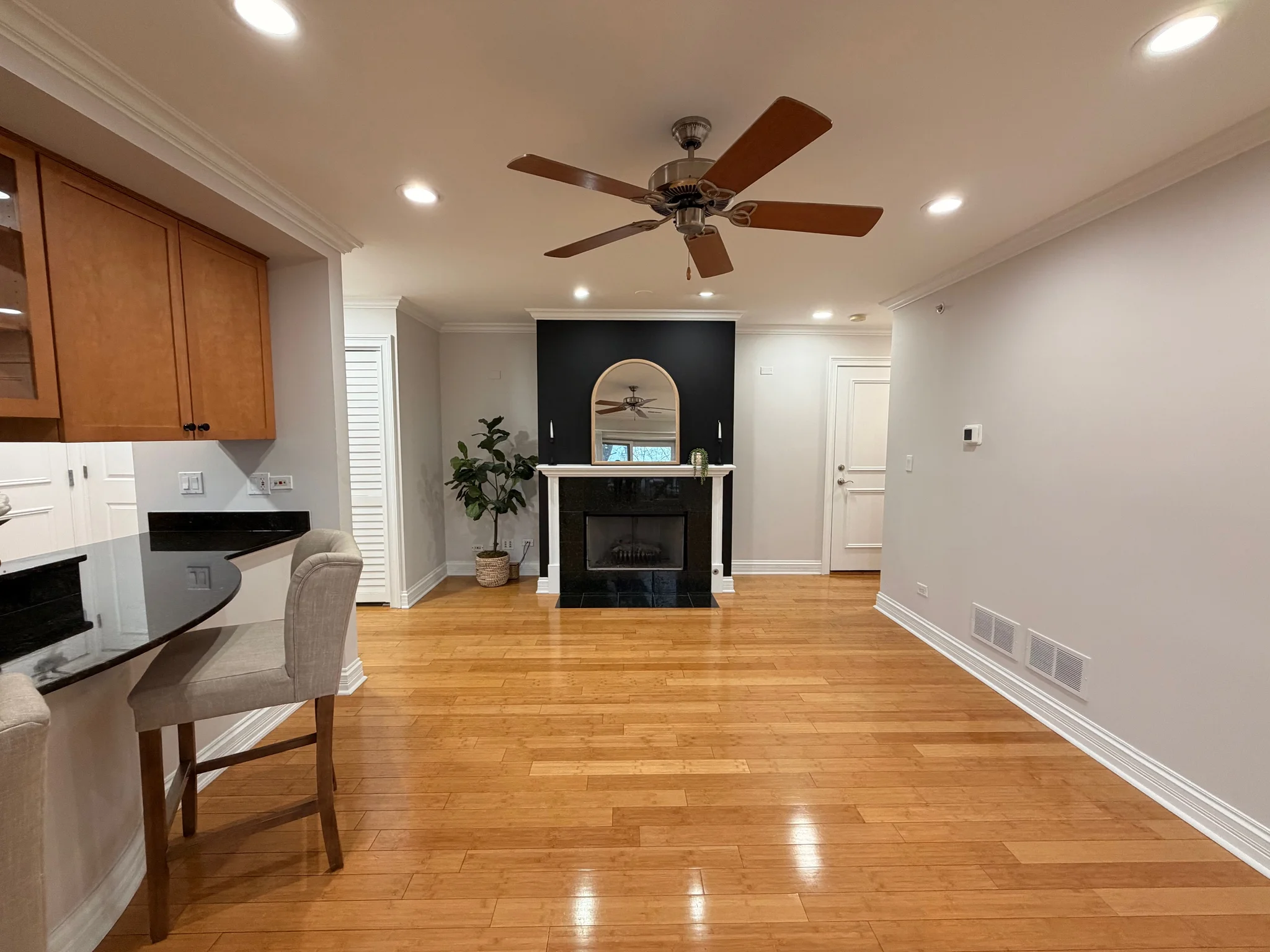 ARLINGTON HEIGHTS Condo: 122 S Evergreen Ave