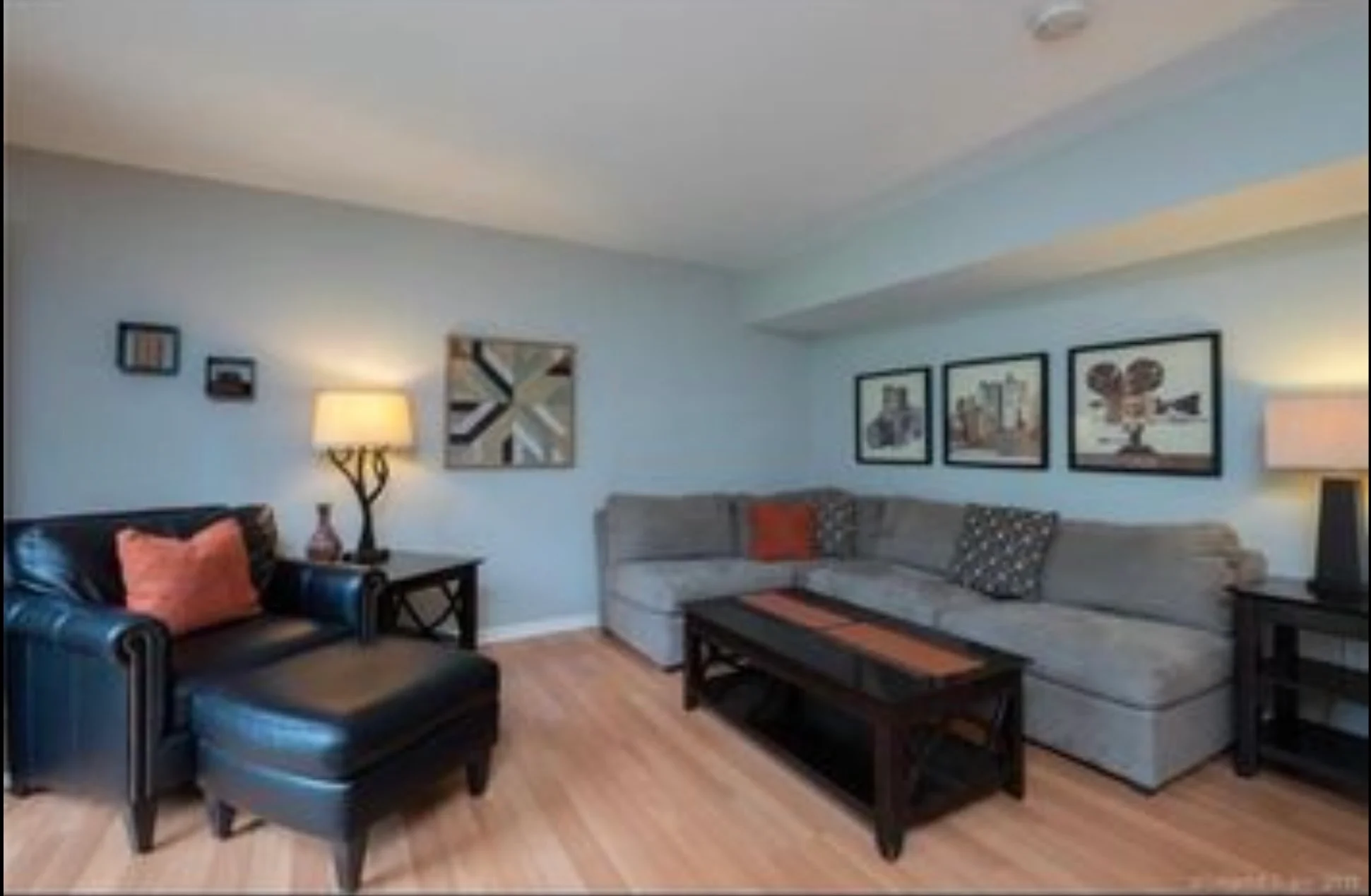 Bristol Condo: 705 Lake Ave