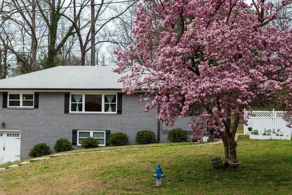 Smyrna Multiplex: 831 Parkway Dr