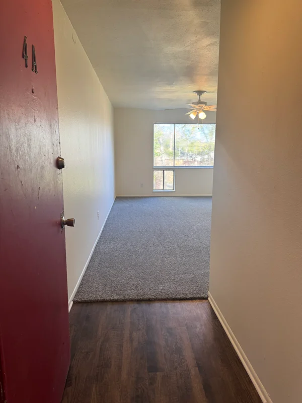 Jacksonville Apartment: 701 Canada St