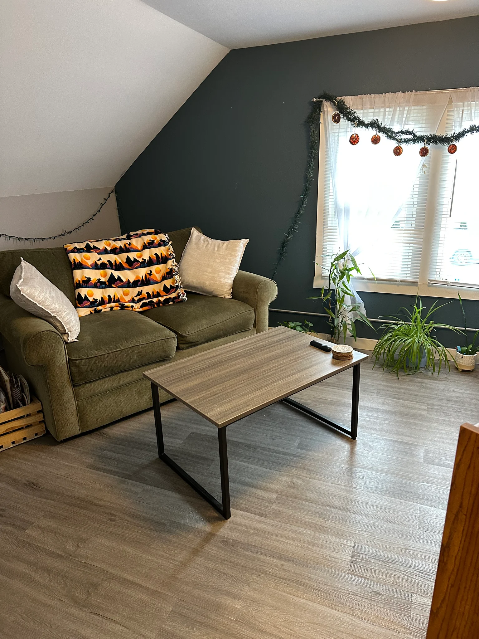 La Crosse Multiplex: 1621-1623 Hyde Ave