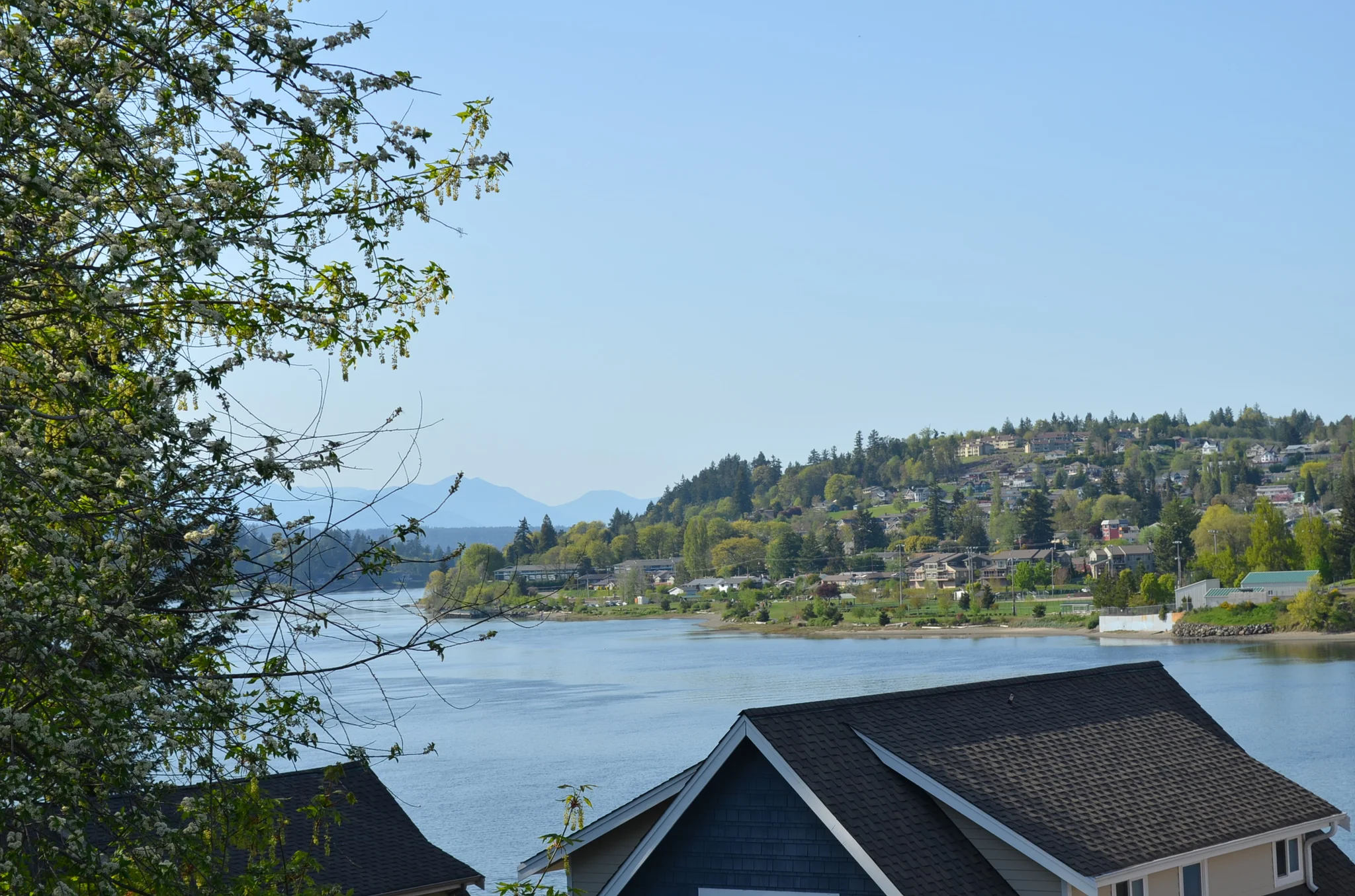 Bremerton Multiplex: 1202 18th St