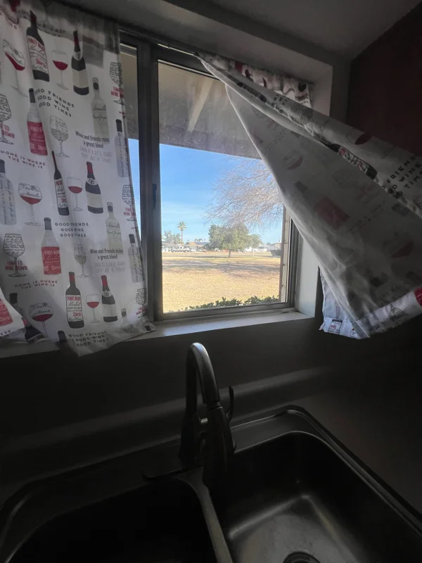 Sun City Condo: 10357 W Peoria Ave