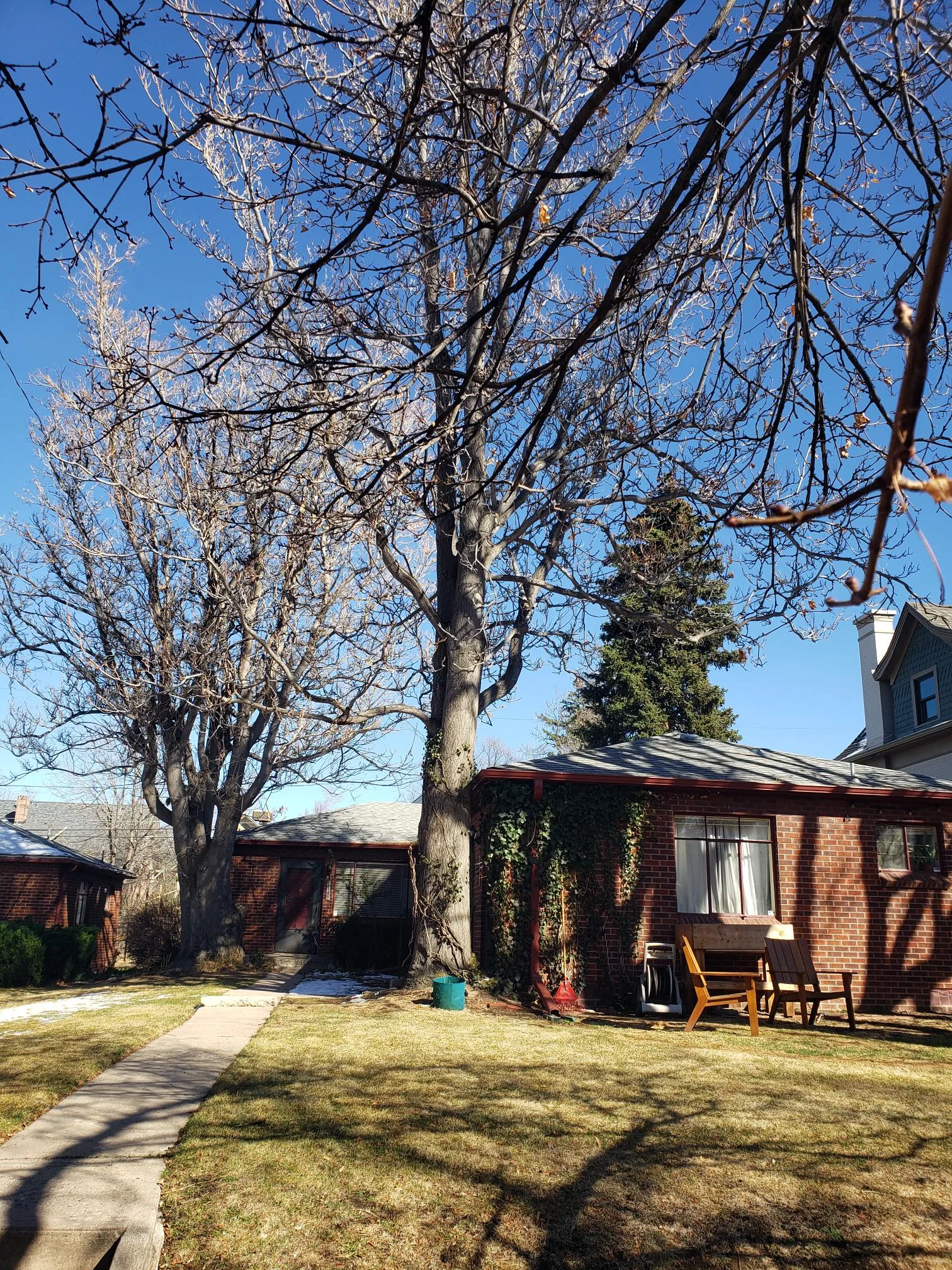 Denver Townhome: 1140 Steele St.