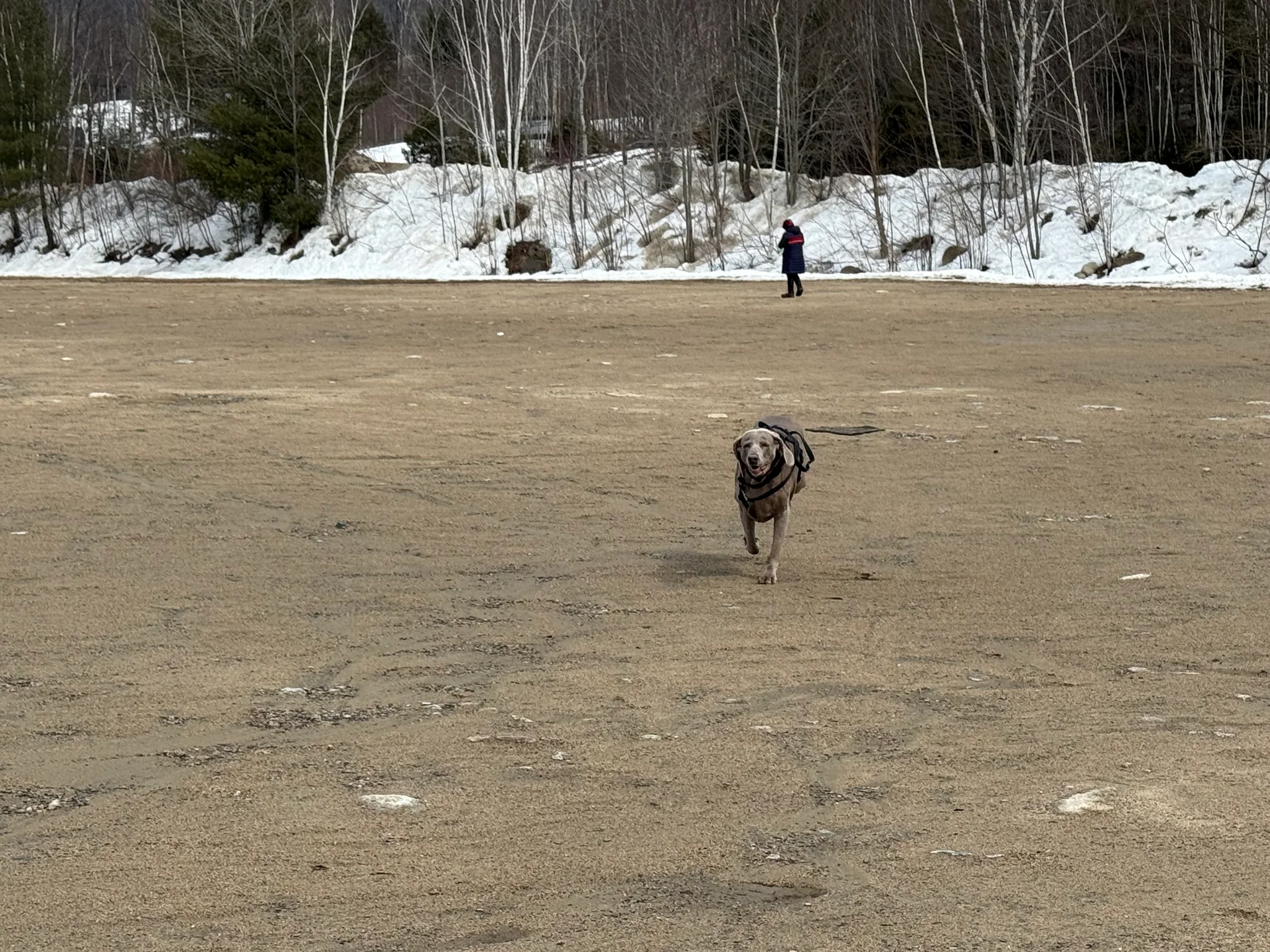 Kennebunk Condo: 17 Water Street