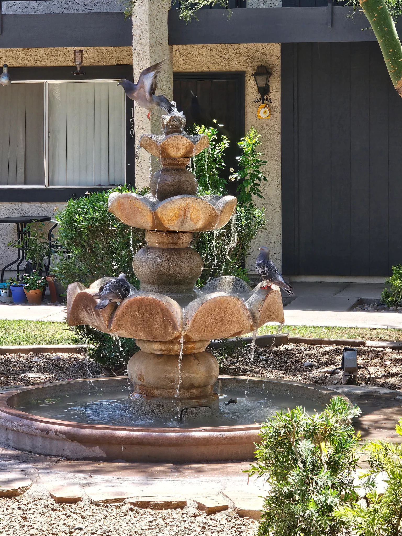 Tempe Condo: 700 W University