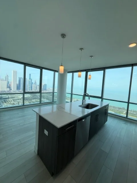 Chicago Condo: 41 E 8th St