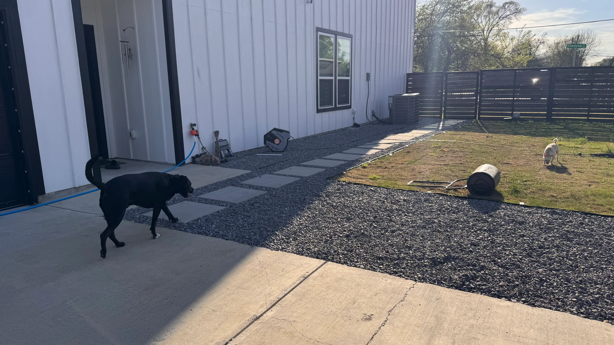 Dallas House: 770 Elwayne Avenue