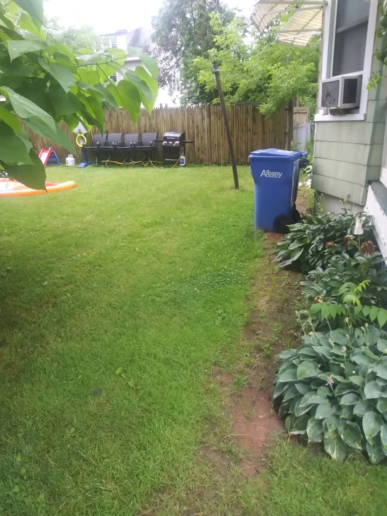 Albany Apartment: 15 Summit Ave