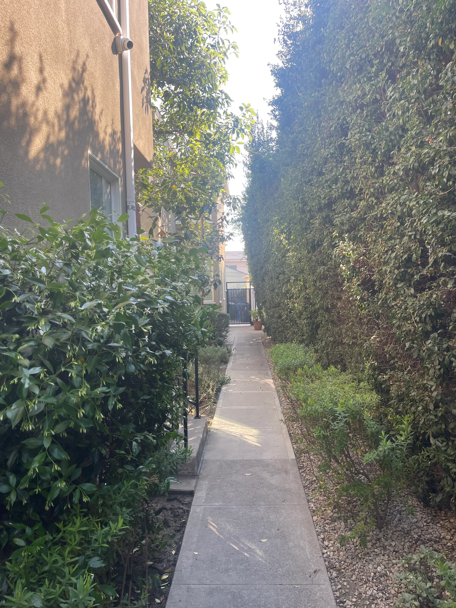 Los Angeles Other: 5410 Packard St