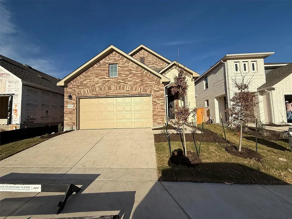 San Marcos House: 141 knockout rose