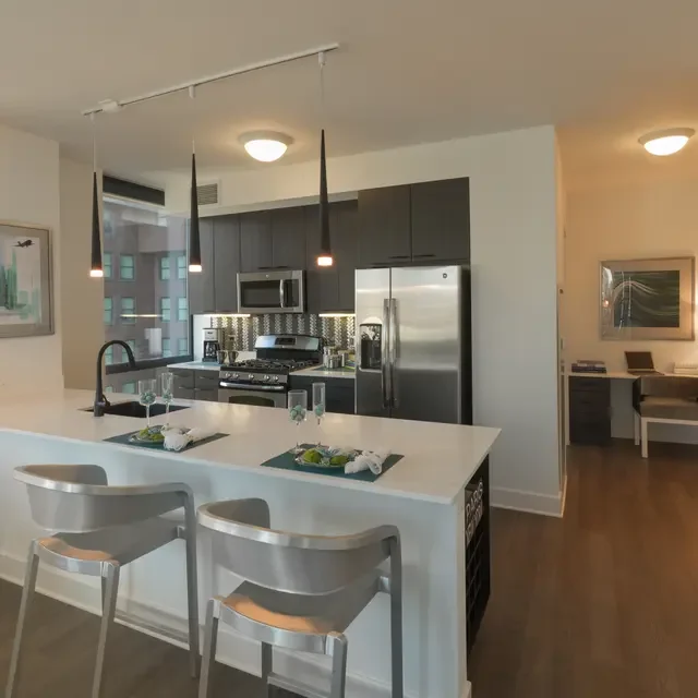 Chicago Condo: 76 E Lake St