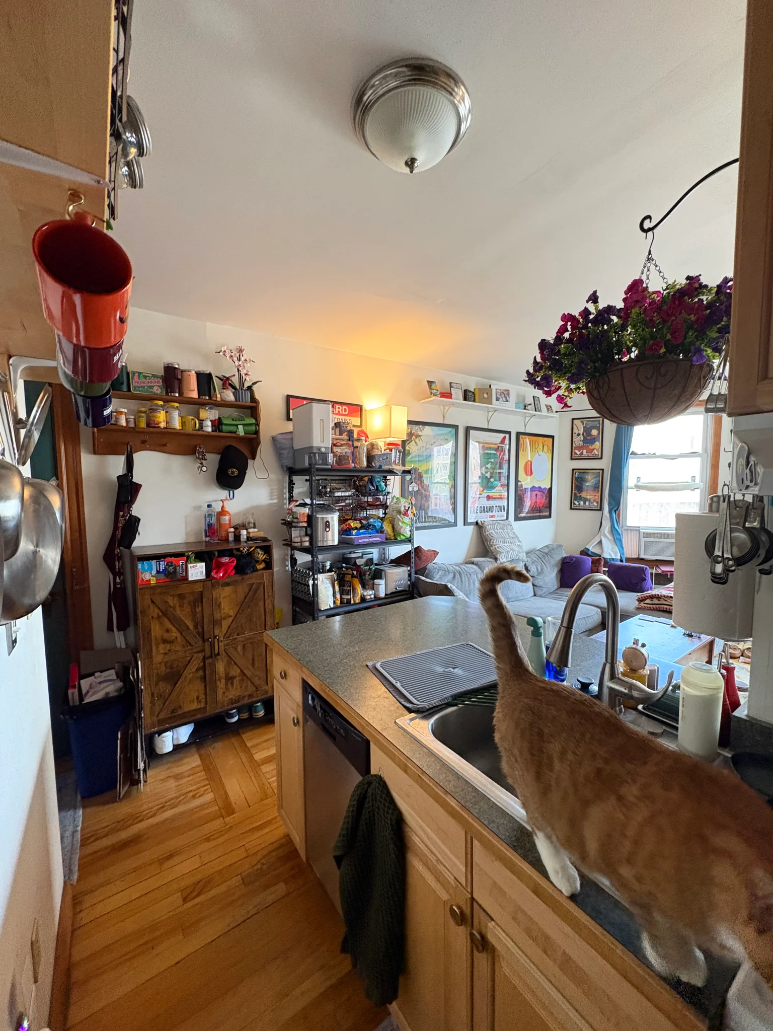 Cambridge Condo: 1802 Massachusetts Ave