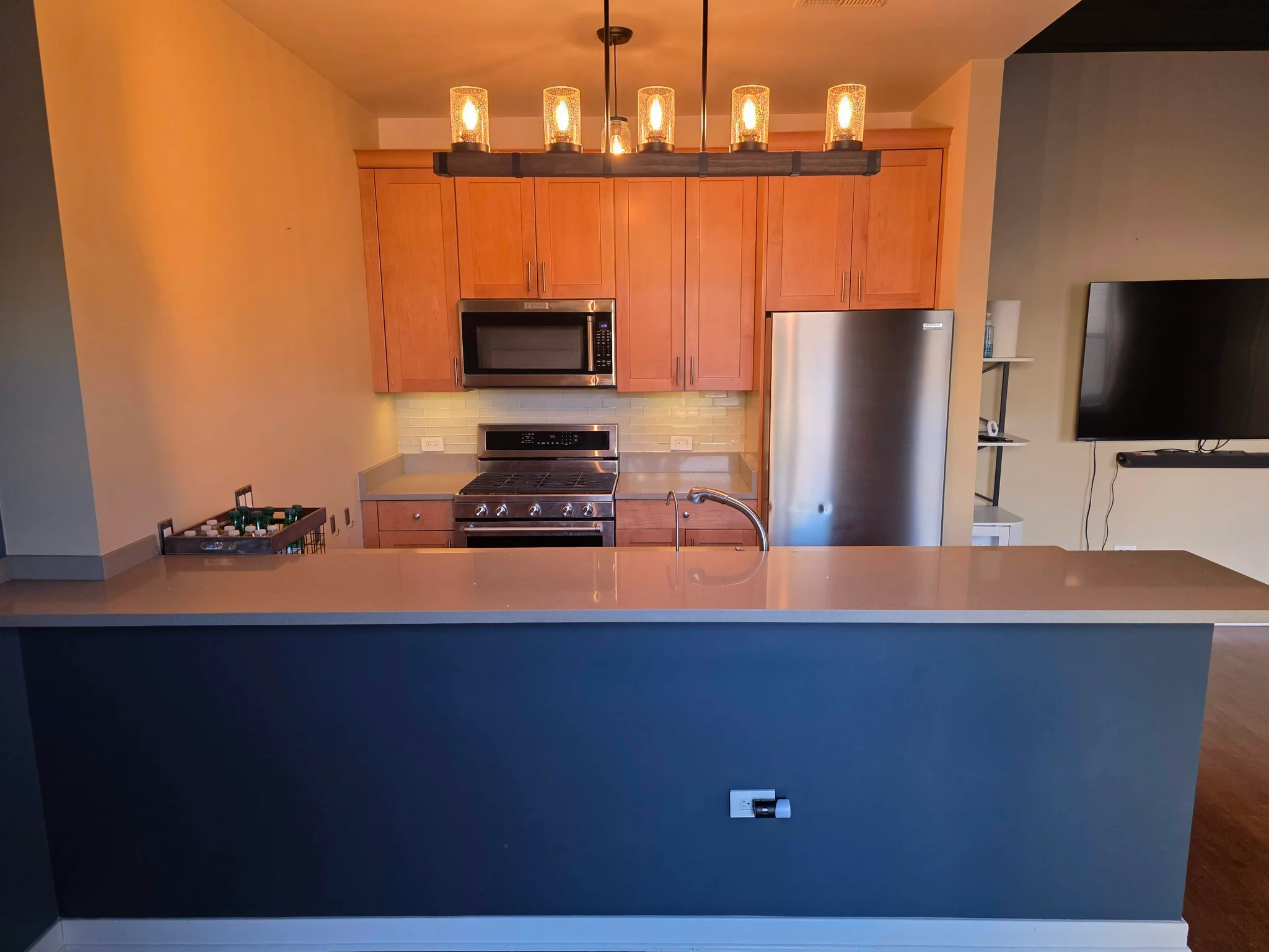 Palatine Condo: 24 W Station St