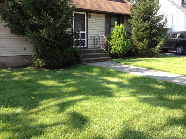 Iselin House: 17 Wright St