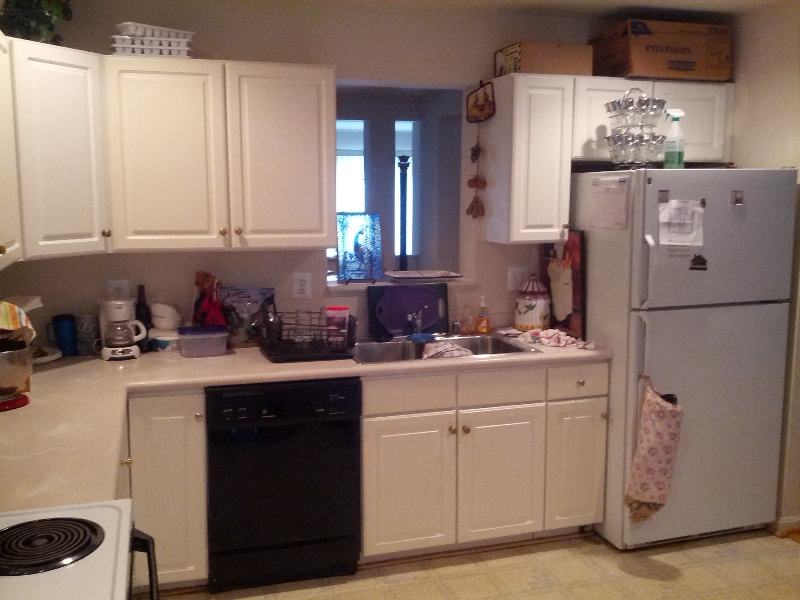 Reston Townhome: 1703 Blue Flint Court