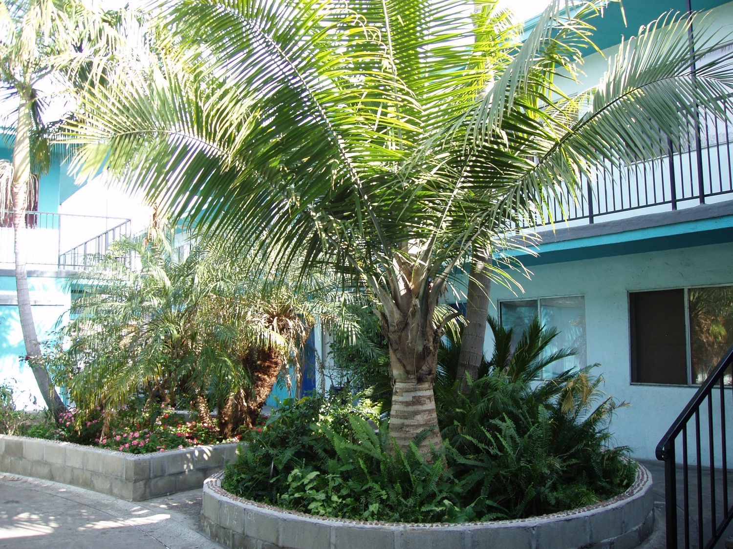 Long Beach Apartment: 5230 Long Beach Blvd.