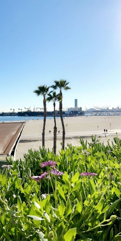 Long Beach Condo: 6 3rd Place
