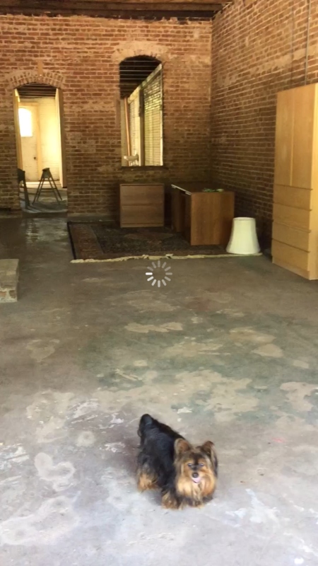 $450 - $568 per month , 115 west main $450 - $568 per month , 115 west main,
