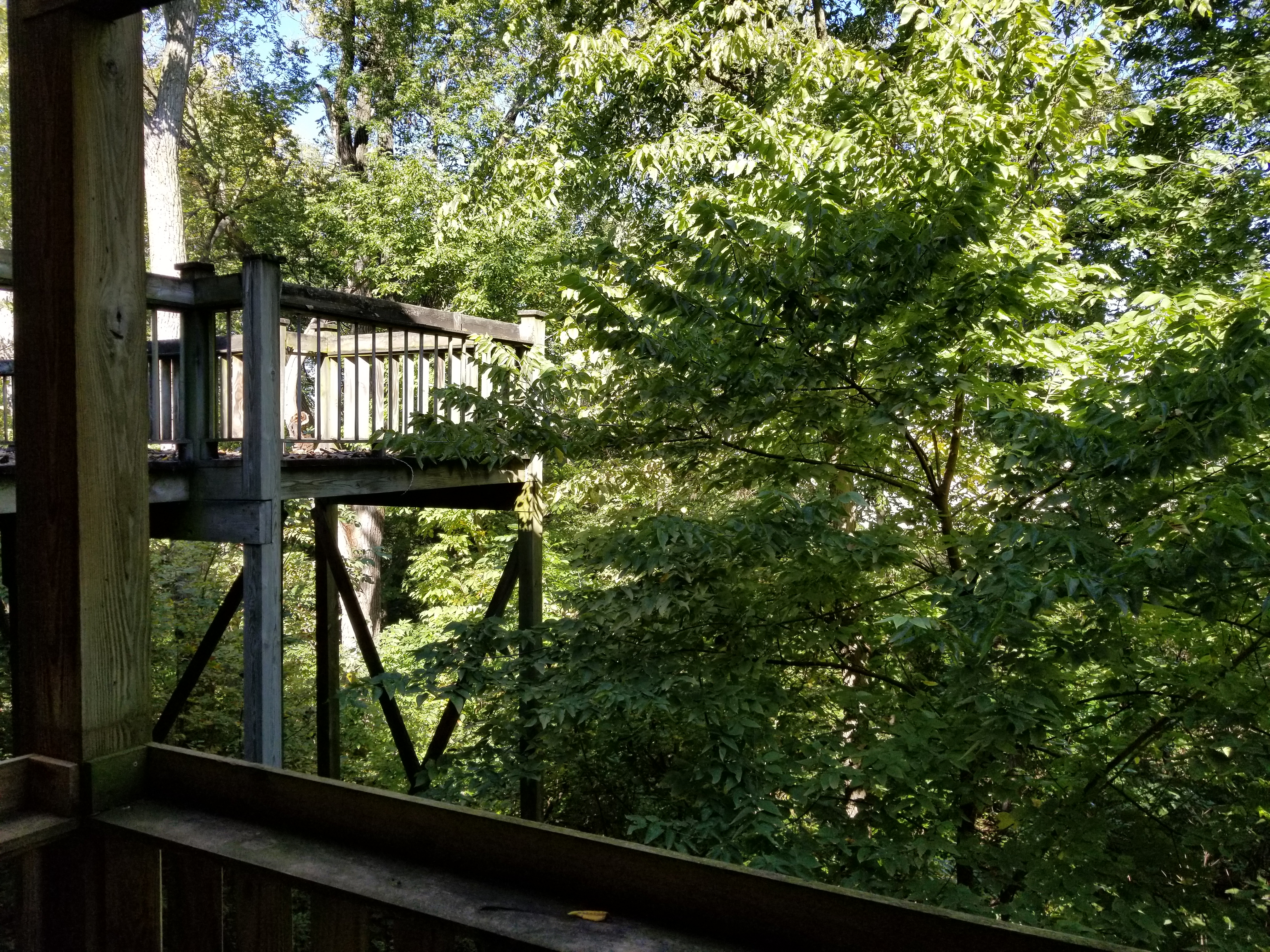 Pleasant Hill Apartment: 595 N Pleasant Hill Blvd