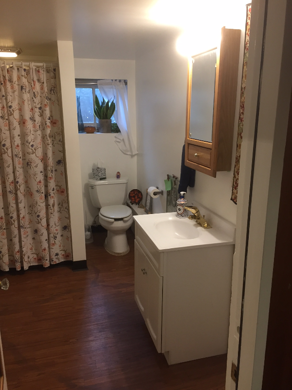 Glen Ellyn Apartment: 352 Marion