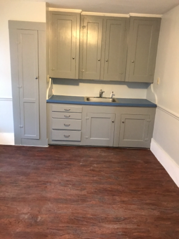 Rochester Apartment: Charles St