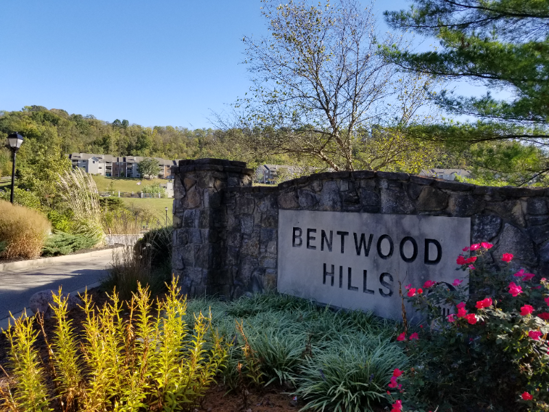 Wilder Condo: 400 Lakeview Dr