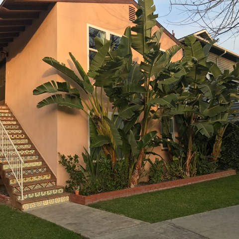 Santa Ana Multiplex: 1310 N. Spurgeon