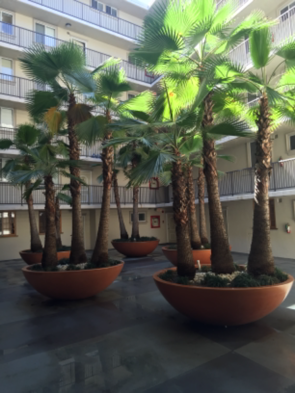 Los Angeles Apartment: 7100 Hillside Ave, #401