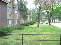 $1000 per month , 80 Central Street $1000 per month , 80 Central Street,