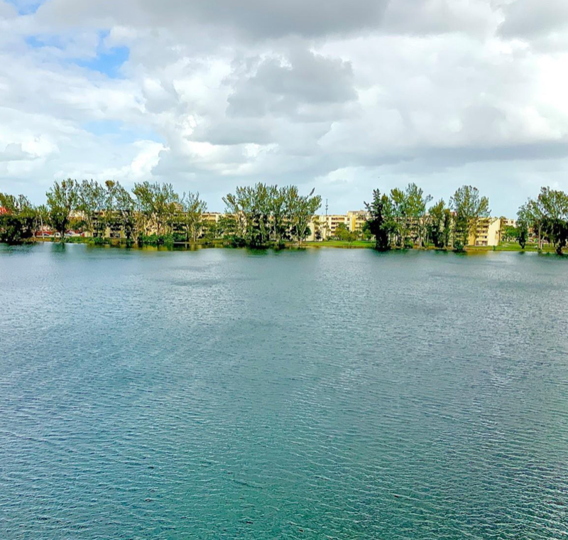 hialeah gardens Condo: 9915 w ockeechobee