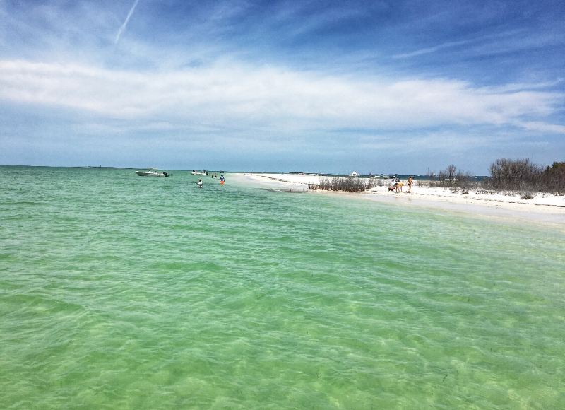 Tarpon Springs Condo: 649 Windrush Bay Drive