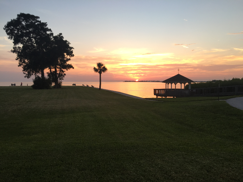 Tarpon Springs Condo: 649 Windrush Bay Drive