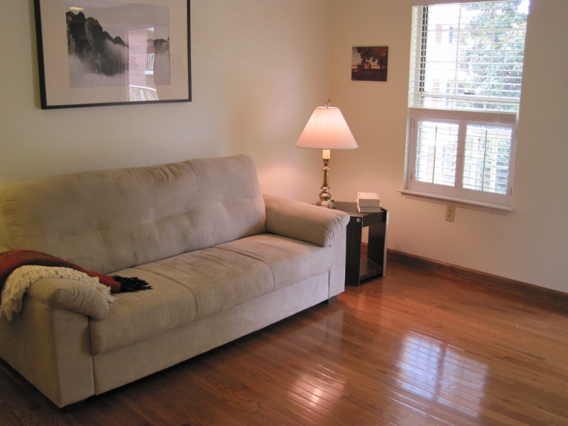 Clemson Condo: 250 Elm St