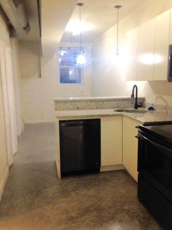 Baltimore Apartment: 124 E Trenton St