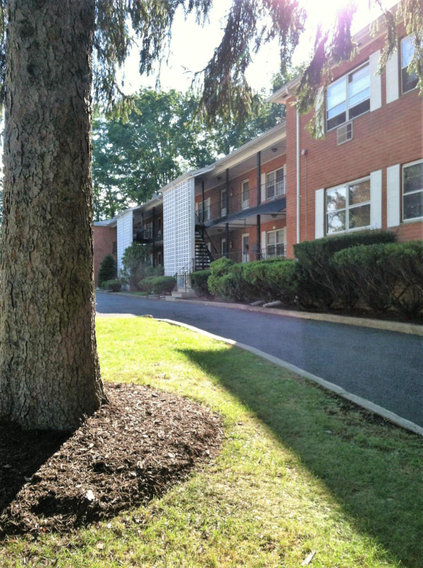 North Plainfield Apartment: 393 Grove Street