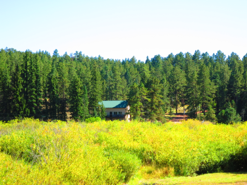 Woodland Park House: 15729 Pine Lake Dr