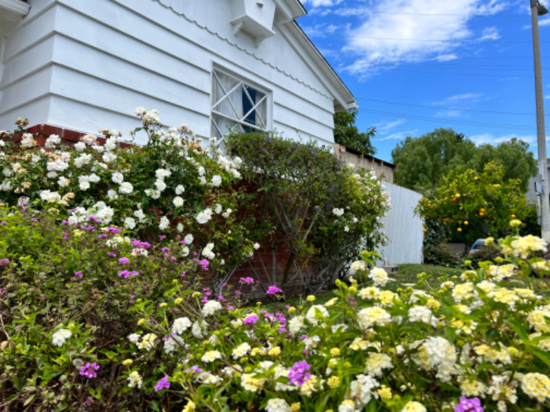 San Pedro House: 1905 Elanita Dr