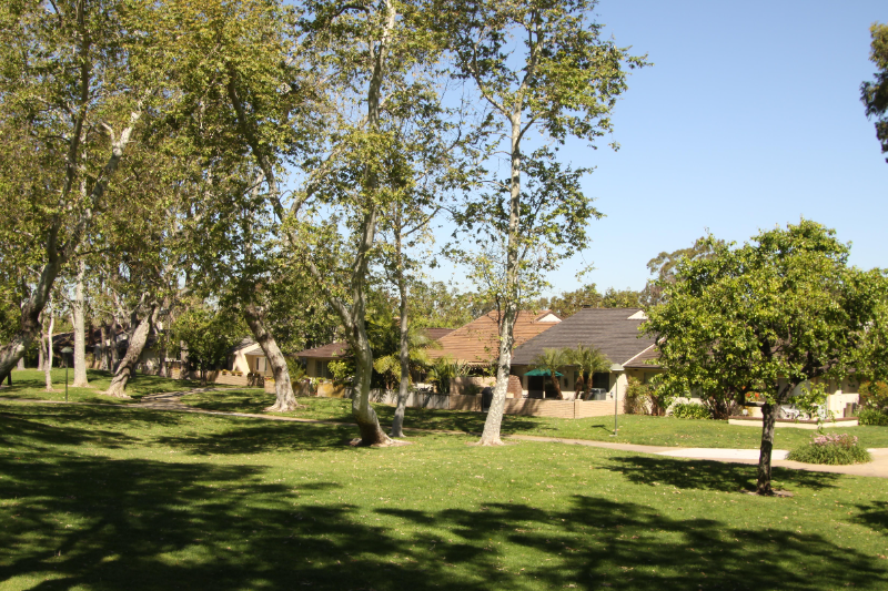 Irvine Condo: 5146 Maple