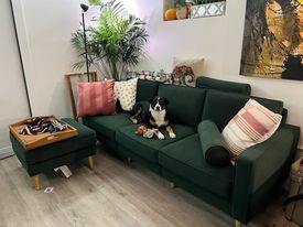 Seattle Multiplex: 4275 Whitman Ave N.